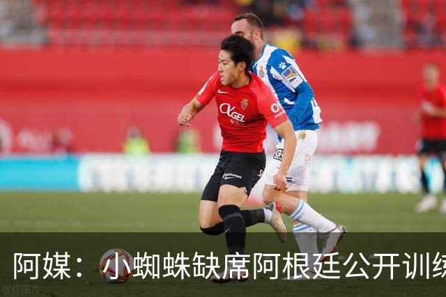 阿媒：小蜘蛛缺席阿根廷公开训练，他可能在第二场友谊赛中出场